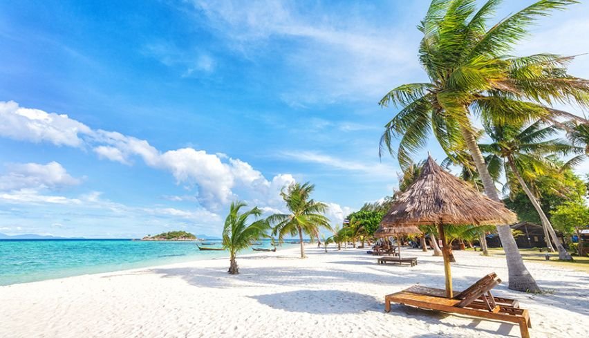 elephantbeach